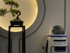 -席仁堂推拿按摩脊柱调理(世纪科贸大厦店)