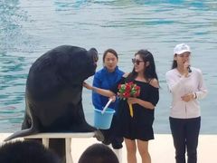 -秦皇岛乐岛海洋王国