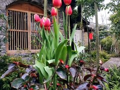 -驿舍·民國老营房院子私房菜(科学会堂店)