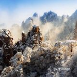 【博洋视线】 难忘黄山雪️ 云和雪都恋着这山峦