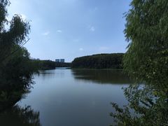 -昆山城市生态森林公园