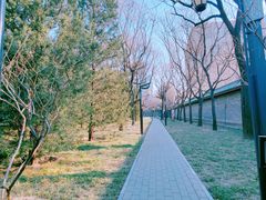 -月坛公园