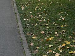 -和合谷(东四北大街店)