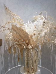 -YESIDO椰岛美容