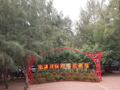 -北海金海湾红树林生态旅游区