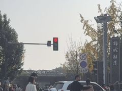 -白鹭湾湿地公园