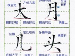 -赵汝飞练字硬笔书法(静安寺校区)