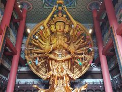 -上海东林寺(金山区)
