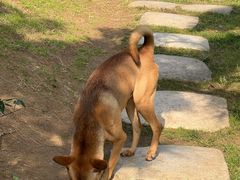 -龙华寺