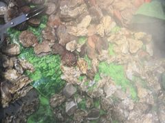 -自助火锅筷乐食代自助餐厅(金辰店)
