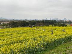 -光明小镇欢乐田园