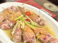 -长平肥姐白粥·海鲜打冷