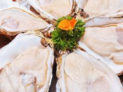 生蚝/只-顺德公·广东猪肚鸡(车公庙总店)