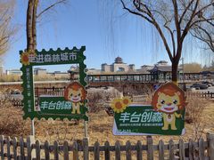-莲花池公园