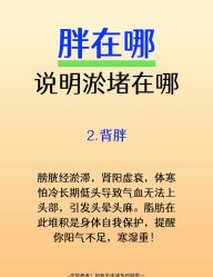 -Fundi张玉珊修身堂·indiba·BTL科技瘦身