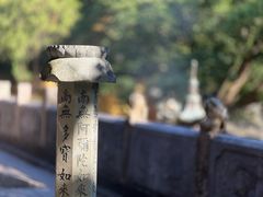 -普陀山风景名胜区-法雨禅寺