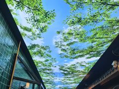 -大融厨·鸡毛店·川菜(果壳里东安湖店)