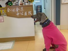 -全心全意动物诊疗中心医院(北苑店)