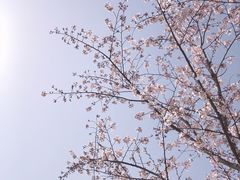 -长田漾湿地公园