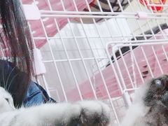 -北京恒爱动物医院(清景园分院)