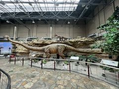 -国家自然博物馆