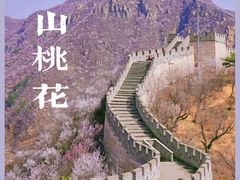 -沉浸北京·团建旅行·密室剧本杀·年会会议轰趴拓展