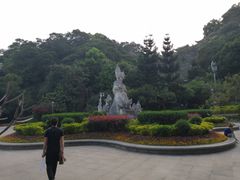 -金鸡山公园
