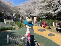 -杭州少年儿童公园