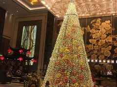 -长沙富力万达文华酒店