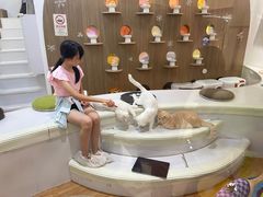 -COLOR PETS 撸猫馆·购猫·猫咖(长风大悦城店)