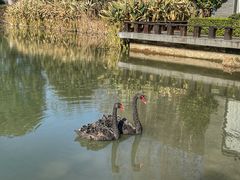 -天目湖涵田度假村