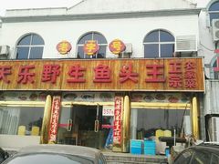 -天乐农家鱼头王(天目湖店)