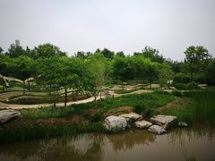 -武清南湖绿博园