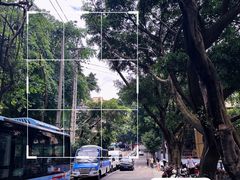 -大炮糯米凉虾(南坪后堡店)