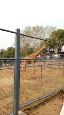 徐州動物園-