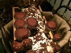 -大头椰·椰子鸡火锅(南宁万象城店)