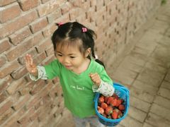 -田趣农庄草莓采摘园