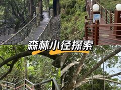 -呀诺达热带雨林