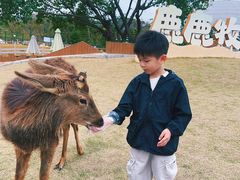-盈香心动乐园