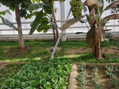 -中国农科院国家农业科技展示园