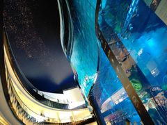 -迪拜水族馆及水下动物园