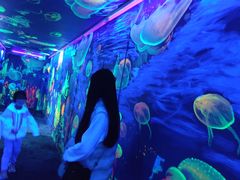 -成都浩海立方海洋公园