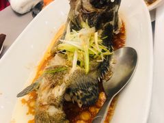 清蒸老虎斑-徐记海鲜(大雁塔|金都店)