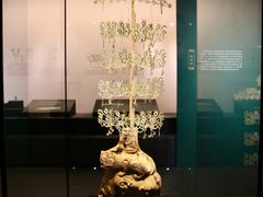 -广西壮族自治区博物馆