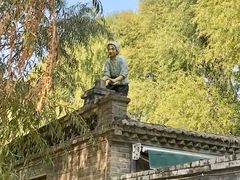 -白洋淀景区