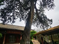 -玉泉观