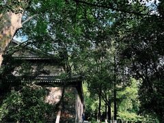 -灵谷景区