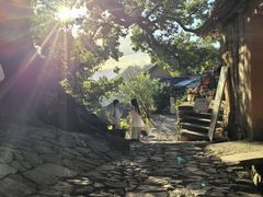 -杨家堂村