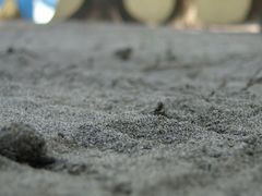 -维乐口腔医院(星海湾分院)