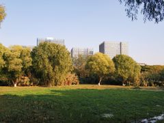 -长广溪湿地公园